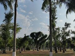 -万绿园