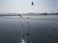-渤公岛生态公园