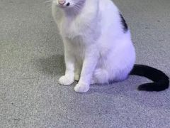 -CLUE演绎实景剧本杀(江南西店)