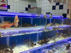 -大润发(康桥店)
