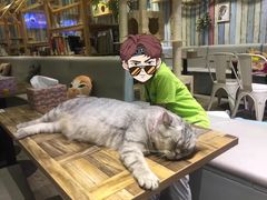 -小时光咖啡馆(开森度假森林店)