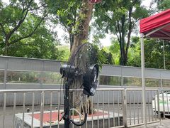 -铜元老码头鳝鱼火锅