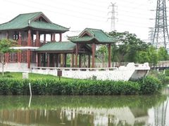 -王借岗森林公园