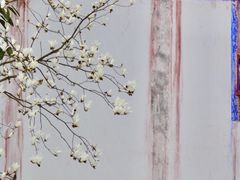 -石宝寨