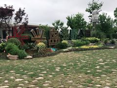 -上海长兴岛郊野公园