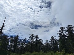-瓦屋山景区