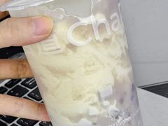 -茶百道(盛京大奥莱店)