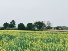 -良渚古城遗址公园