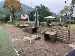 -趣多多宠物公园·宠物训犬学校·宠物寄养