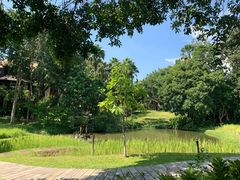 -四季酒店下午茶