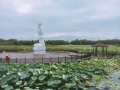 -荷塘月色湿地公园·向阳花洲