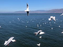 -大理无舍度假酒店