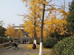 -杭州城北体育公园