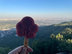 -香山公园