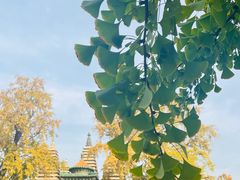 -北京石刻艺术博物馆(五塔寺)