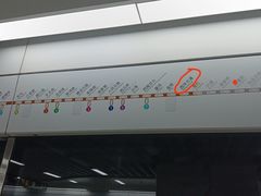 -迪卡侬(西华店)