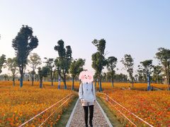 -汉江湾体育公园