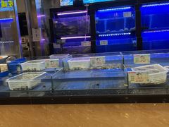-鑫源渔港(阳光店)