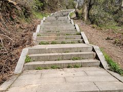 -青龙山国家森林公园