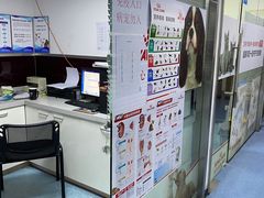 -顺强宠物诊所·狂犬免疫·夜诊·骨科(嘉定店)