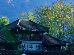 -祁门牯牛降观音堂风景区