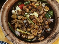 -天宝食坊·啫啫煲大排档(西华路店)