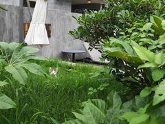 -WILDS 野有食(碧坞店)