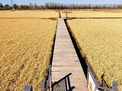 -陆地游轮吉林神农温泉