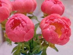 -循礼门鲜花花市(武汉循礼门店)