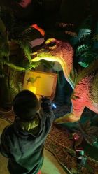 -恐龙探索乐园(磁器口店)