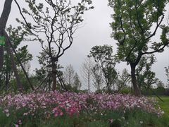 -大蜀山国家森林公园