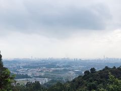 -火炉山森林公园