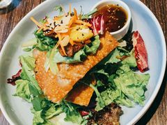 -bluefrog蓝蛙(石家庄欢乐汇店)