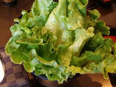 -手选潮汕鲜活牛肉火锅(二七广场店)