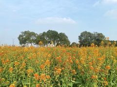 -中国天府农业博览园