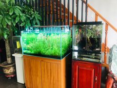 -繁花足道(梅江店)