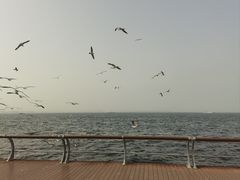 -大连海昌东方水城