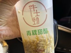 -德禄酸奶(莫家街店)