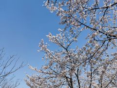 -龙美术馆(西岸馆)