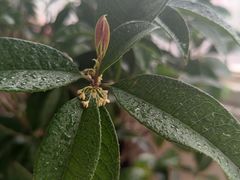 -海底捞火锅(公益西桥店)