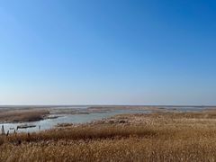 -盐城丹顶鹤湿地生态旅游区