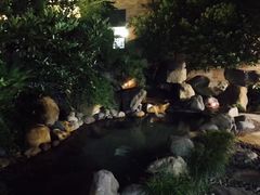 -金凤凰温泉度假村·凤凰汇中餐厅