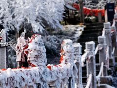 -梵净山旅游区