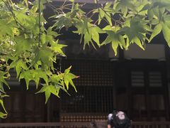 -常寂光寺