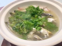 -龙凤酒家(广州大道店)