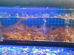 -透明思烤·自助烤肉海鲜火锅(东部星悦天地店)