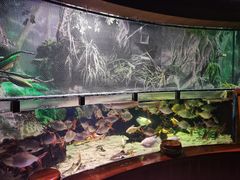 -太平洋海底世界