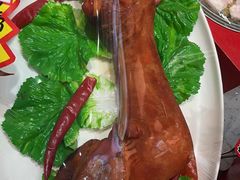 -邵年鸽(杨庄店)