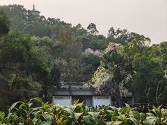 -深圳国际园林花卉博览园