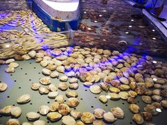 -澜悦港海鲜体验主题餐厅